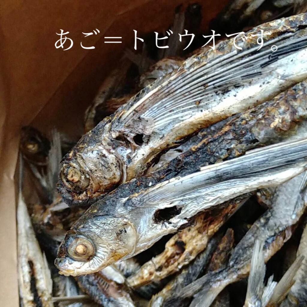 あご トビウオ 焼きあごの風味香る天然だしパックのご紹介 Da Shi Jp