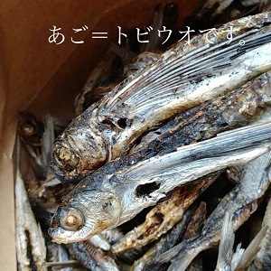 あご＝トビウオ 焼きあごの風味香る天然だしパックのご紹介